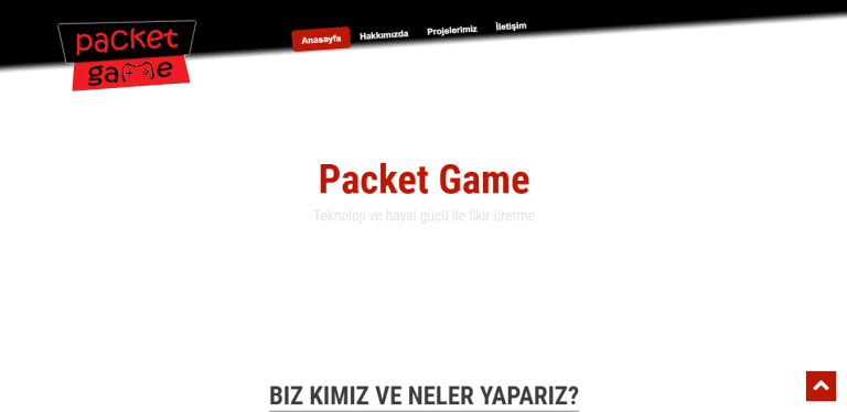 Packet Game