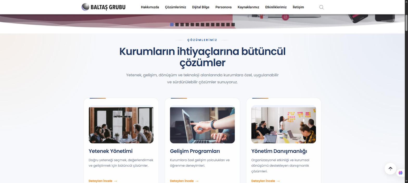 Baltaş Grubu web sitesi ekran görüntüsü